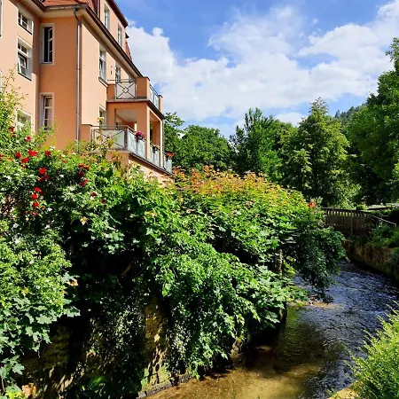 Arthouse Am Kurpark Bad Schandau Exterior photo