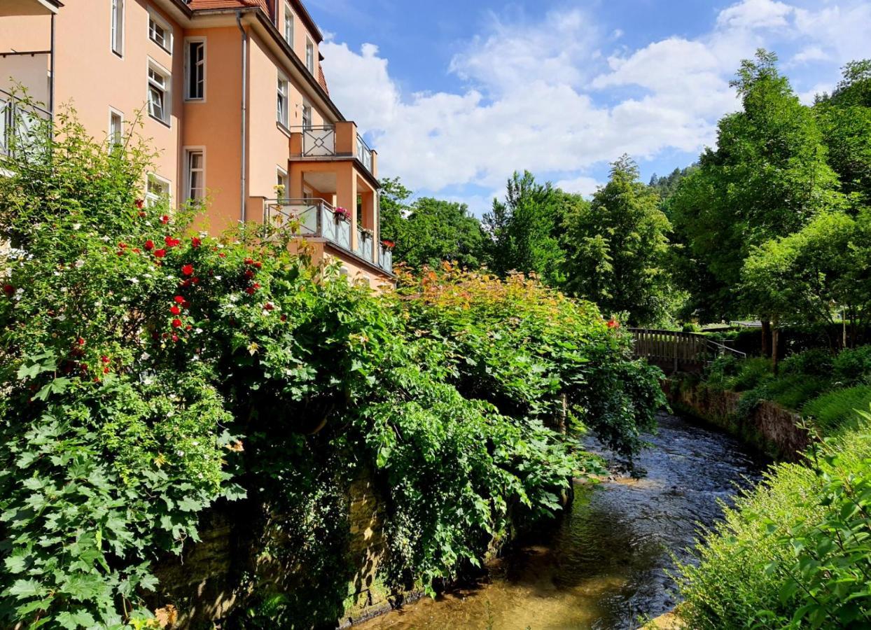 Arthouse Am Kurpark Apartment *