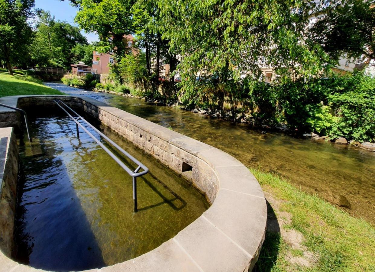 Arthouse Am Kurpark Bad Schandau
