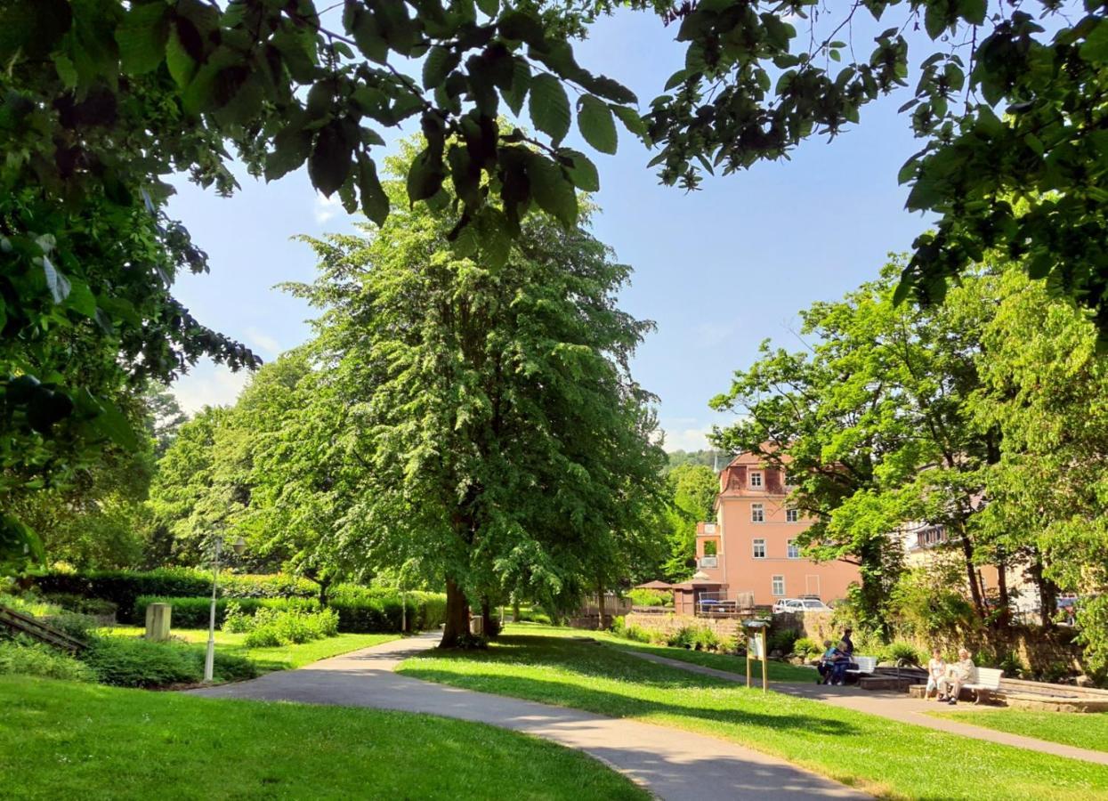 Arthouse Am Kurpark Apartment