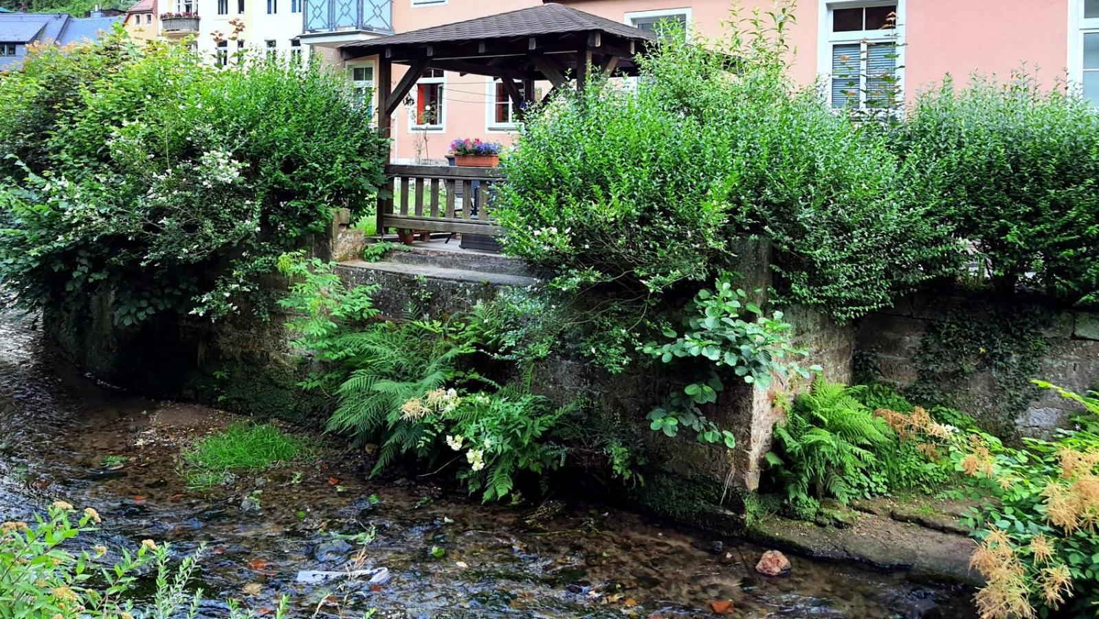 Arthouse Am Kurpark Apartment