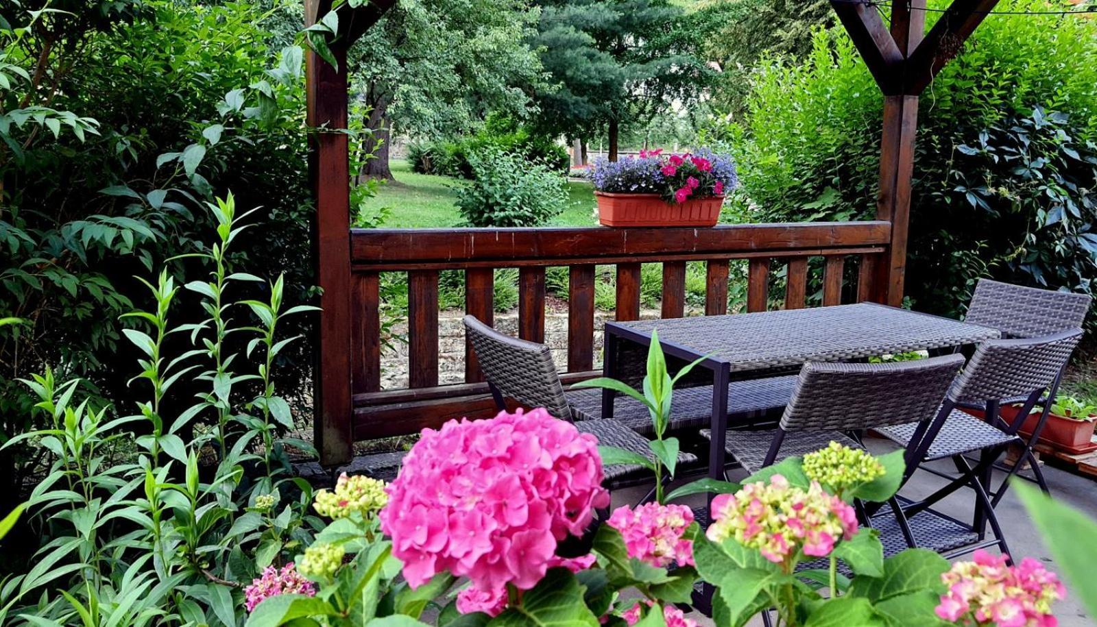 Apartment Arthouse Am Kurpark