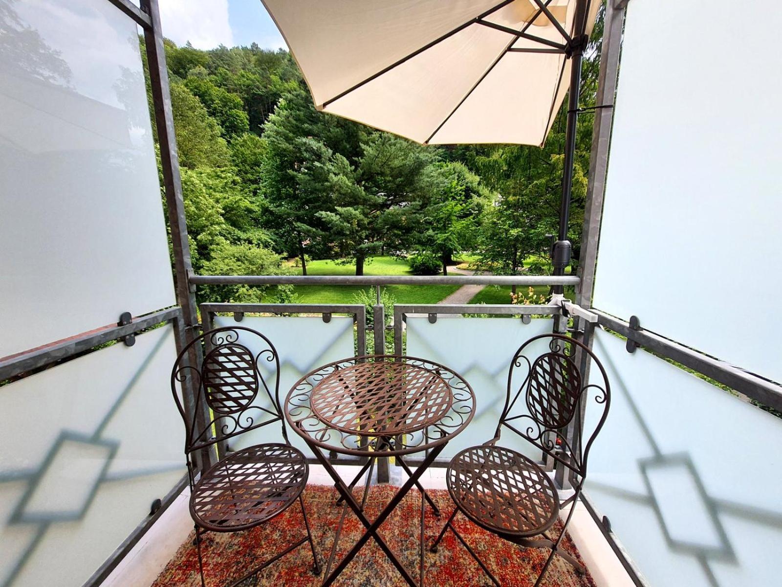 Apartment Arthouse Am Kurpark Bad Schandau